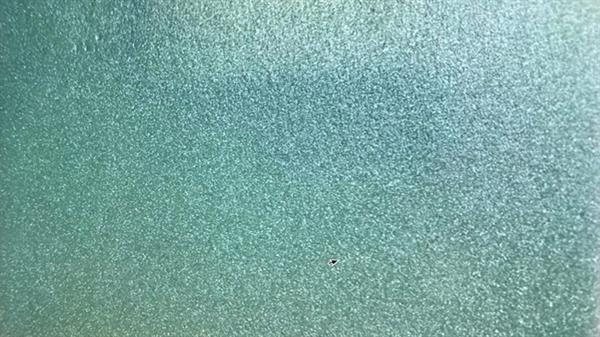 PANNELLI ISOLANTI POLISTIRENE GREEN 3mm-LASTRA 0.50X100CM CF.5MQ