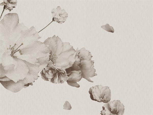 STAMPA DIG. MERAVIGLIA  MATT FLOWERS WHITE MIS. AL MQ