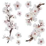 STICKER S PHOTO.BLOSSOM 2x(15X31CM) CREARREDA 2016
