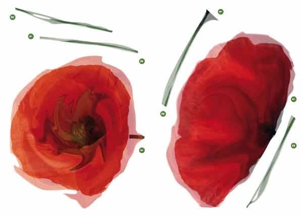 STICKER L SATIN POPPIES 35x100 CM