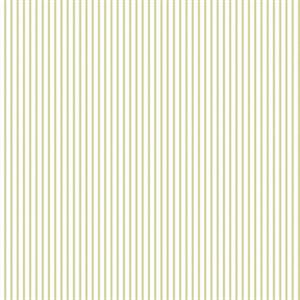 PARATO PRETTY PRINTS 24 /VINILE SU TNT RIGHE GREEN 0,53X10,05 MT