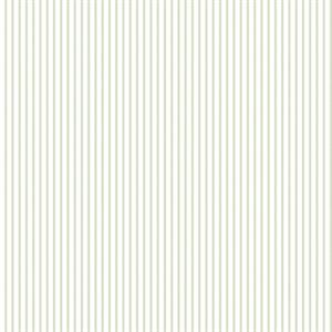 PARATO PRETTY PRINTS 24 /VINILE SU TNT RIGHE GREEN 0,53X10,05 MT