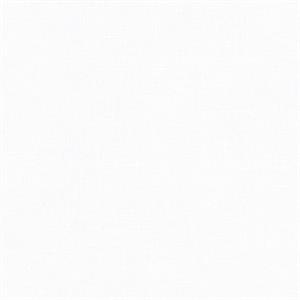 PARATO NATURAL FX2 VINILE/SU TNT UNITO WHITE 0,53X10,05MT