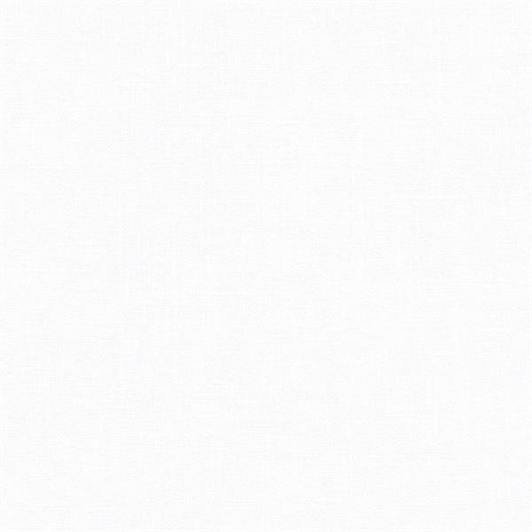 PARATO NATURAL FX2 VINILE/SU TNT UNITO WHITE 0,53X10,05MT