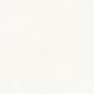 PARATO NATURAL FX2 VINILE/SU TNT UNITO WHITE 0,53X10,05MT