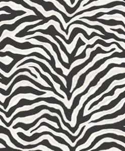 PARATO NATURAL FX2 VINILE/SU TNT DESIGN ZEBRA 0,53X10,05MT