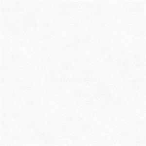 PARATO NATURAL FX2 VINILE/SU TNT UNITO WHITE 0,53X10,05MT