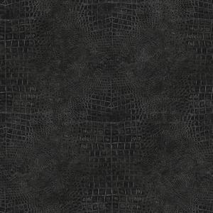 PARATO NATURAL FX2 VINILE/SU TNT DESIGN BLACK 0,53X10,05 MT