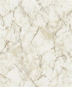 PARATO NATURAL FX2 VINILE/SU TNT DESIGN TAUPE 0,53X10,05MT