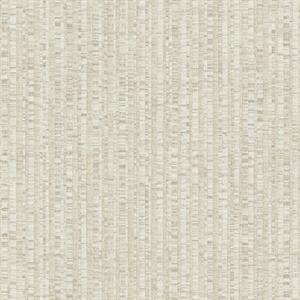 PARATO NATURAL FX2 VINILE/SU TNT RIGHE TAUPE 0,53X10,05MT