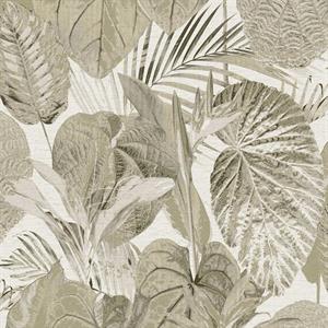 PARATO TROPICALIA PVC   /TNT FOLIAGE FANGO 0,53X10,05 MT