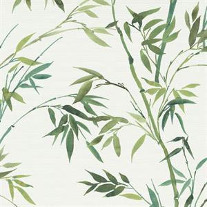 PARATO TROPICALIA PVC   /TNT FOLIAGE GREEN 0,53X10,05MT