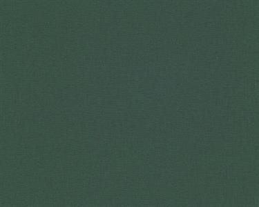 PARATO HOMECOMING PVC   /TNT UNITO GREEN 0,53X10,05MT