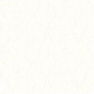 PARATO IN TNT CREAM     UNITO 0,52X10,05MT