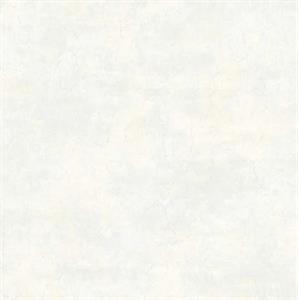 PARATO IN TNT GREY      UNITO 0,52X10MT