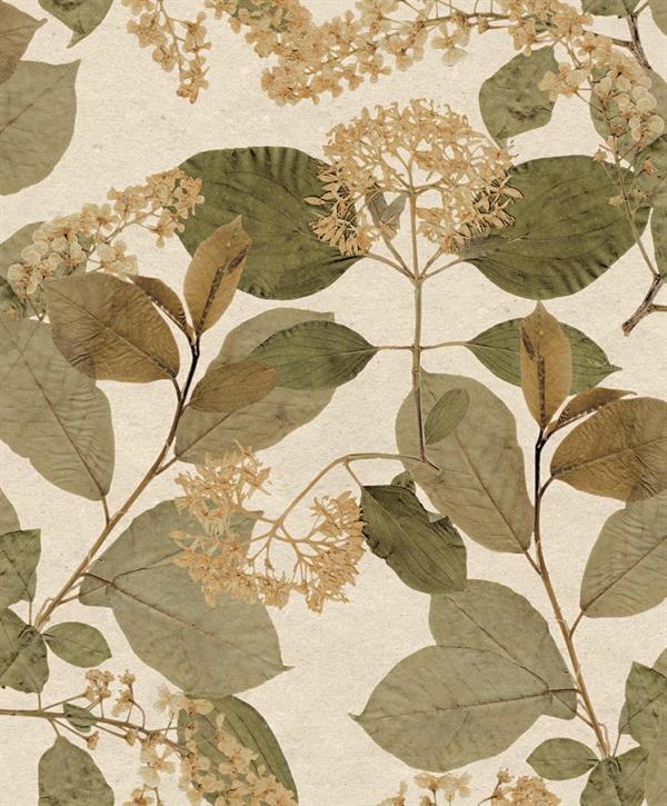 PARATO HERBARIUM ECODECO/FOLIAGE GREEN/BEIGE 0,53X10,05MT