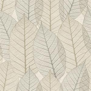 PARATO HERBARIUM ECODECO/FOLIAGE TAUPE 0,53X10,05,MT