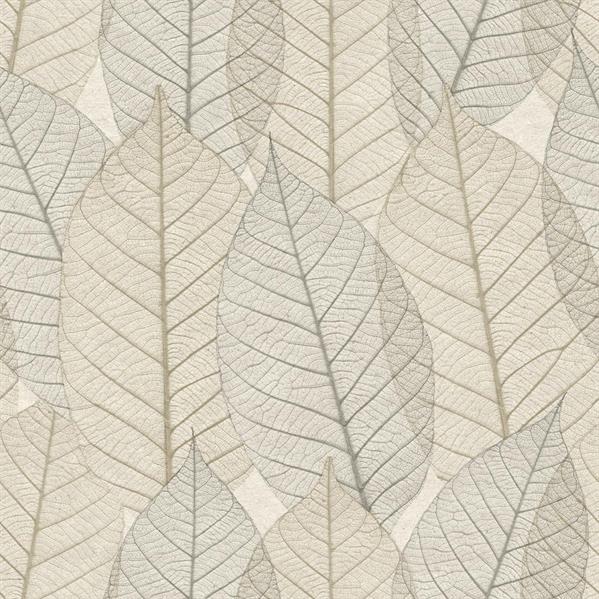 PARATO HERBARIUM ECODECO/FOLIAGE TAUPE 0,53X10,05,MT