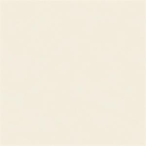 PARATO SOLEADO PVC/TNT  /UNITO WHITE 0,53X10,05MT