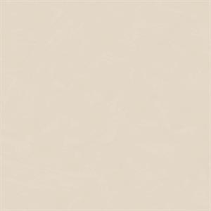 PARATO SOLEADO PVC/TNT  /UNITO BEIGE 0,53X10,05MT