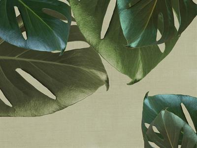 MURALE IN TNT CALYPSO   /FOLIAGE GREEN MIS. AL MQ
