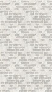 PARATO UNICO 2024 VINILICO/TNT WALL GREY 1,59X2,80H MT(3TELI)