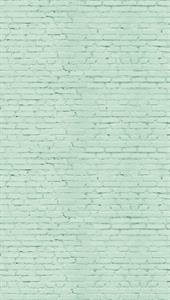 PARATO UNICO 2024 VINILICO/TNT WALL GREEN 1,59X2,80H MT(3TELI)