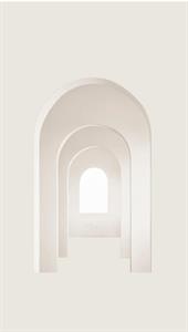 PARATO UNICO 2024 VINILICO/TNT 3D DOOR 1,59X2,80H MT(3TELI)