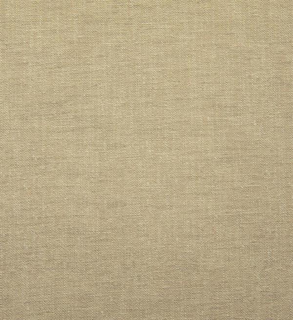 PARATO ARTIST 2024 TNT/ ACRYL UNITO PAGLINO 0,53X10,05MT