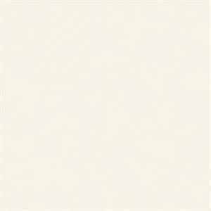 PARATO SOLEADO PVC/TNT  /UNITO WHITE 0,53X10,05MT
