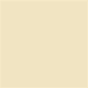 PARATO SHADES OF COLOUR /PVC-TNT UNITO CREAM 0,53X10,05MT