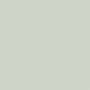 PARATO SHADES OF COLOUR /PVC-TNT UNITO GREEN 0,53X10,05MT