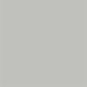 PARATO SHADES OF COLOUR /PVC-TNT UNITO SILVER 0,53X10,05MT