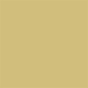 PARATO SHADES OF COLOUR /PVC-TNT UNITO GOLD 0,53X10,05MT