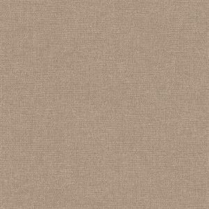 PARATO SHADES OF COLOUR /PVC-TNT UNITO BROWN 0,53X10,05MT