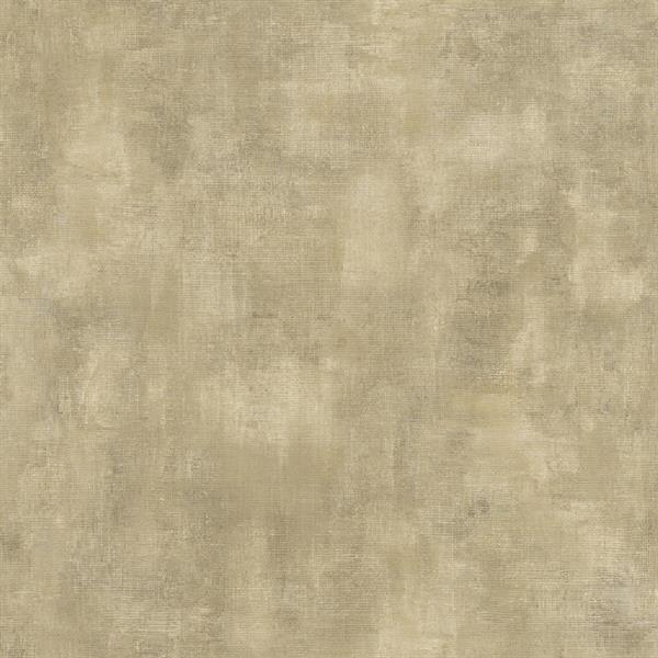 PARATO SHADES OF COLOUR /PVC-TNT UNITO BROWN 0,53X10,05MT