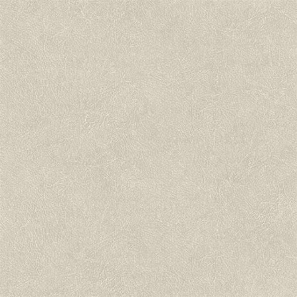 PARATO SHADES OF COLOUR /PVC-TNT UNITO ICE 0,53X10,05MT