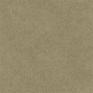 PARATO SHADES OF COLOUR /PVC-TNT UNITO SAND  0,53X10,05MT
