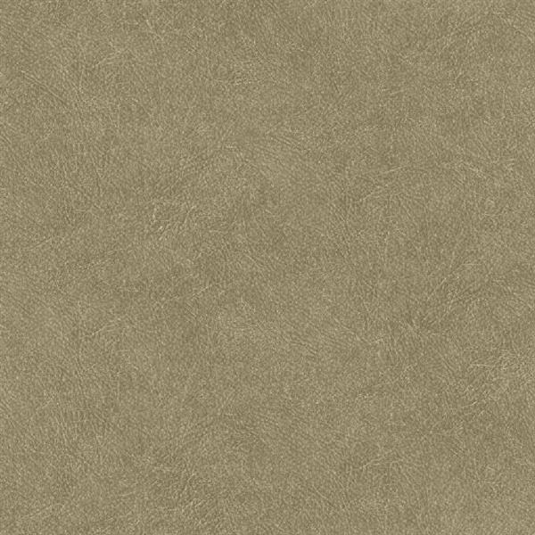 PARATO SHADES OF COLOUR /PVC-TNT UNITO SAND  0,53X10,05MT