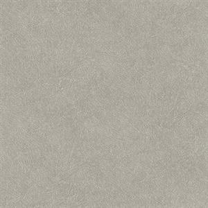 PARATO SHADES OF COLOUR /PVC-TNT UNITO GREY 0,53X10,05MT