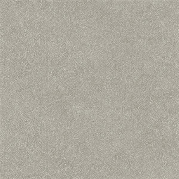 PARATO SHADES OF COLOUR /PVC-TNT UNITO GREY 0,53X10,05MT