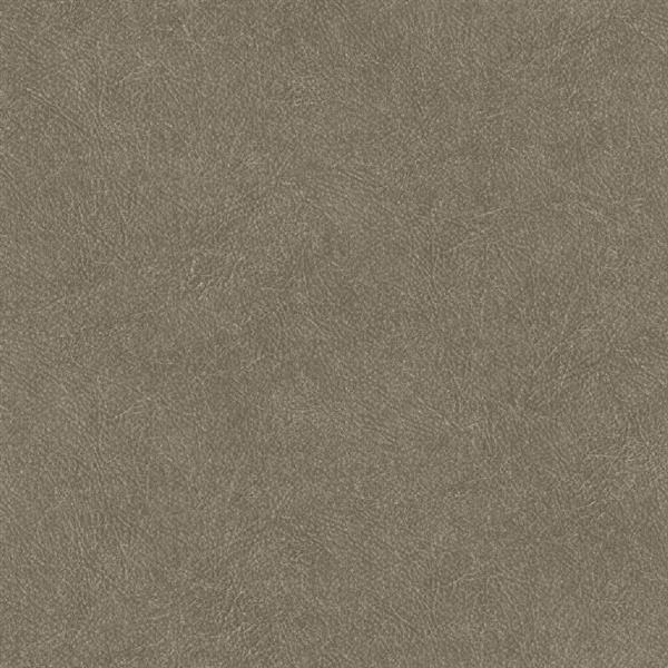 PARATO SHADES OF COLOUR /PVC-TNT UNITO BROWN 0,53X10,05MT