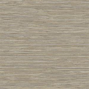PARATO SHADES OF COLOUR /PVC-TNT MATERIC BROWN 0,53X10,05MT