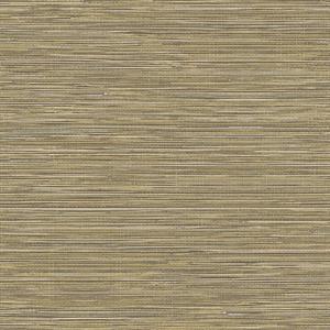 PARATO SHADES OF COLOUR /PVC-TNT MATERIC BROWN 0,53X10,05MT