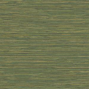 PARATO SHADES OF COLOUR /PVC-TNT MATERIC GREEN 0,53X10,05MT
