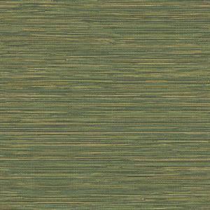 PARATO SHADES OF COLOUR /PVC-TNT MATERIC GREEN 0,53X10,05MT