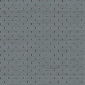PARATO ROYAL VINILICO SU/TNT DESIGN AVION 0,53X10,05MT