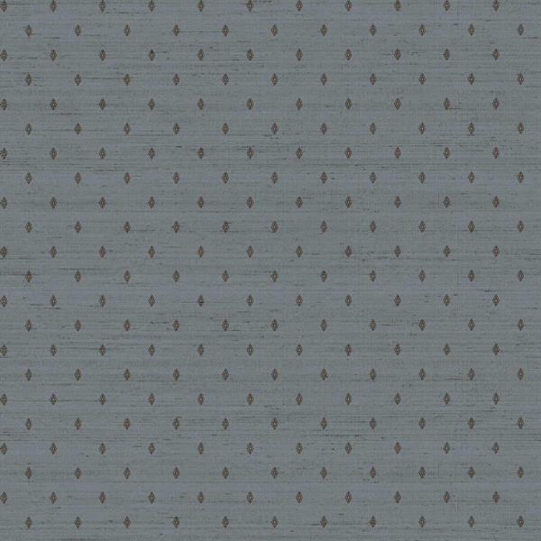 PARATO ROYAL VINILICO SU/TNT DESIGN AVION 0,53X10,05MT