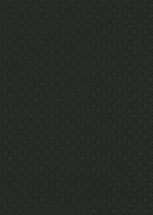 PARATO ROYAL VINILICO SU/TNT DESIGN BLACK 0,53X10,05MT