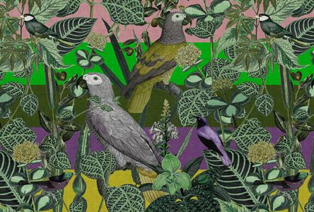 WALL BY PATEL 4 STAMPA  /DIGITALE - BIRDS GREEN 400x270H.CM